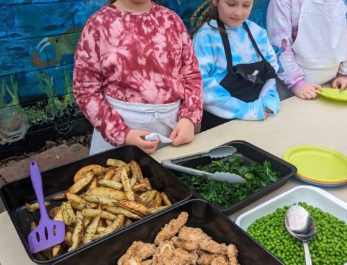 Helping Edinburgh’s communities discover the benefits of local food